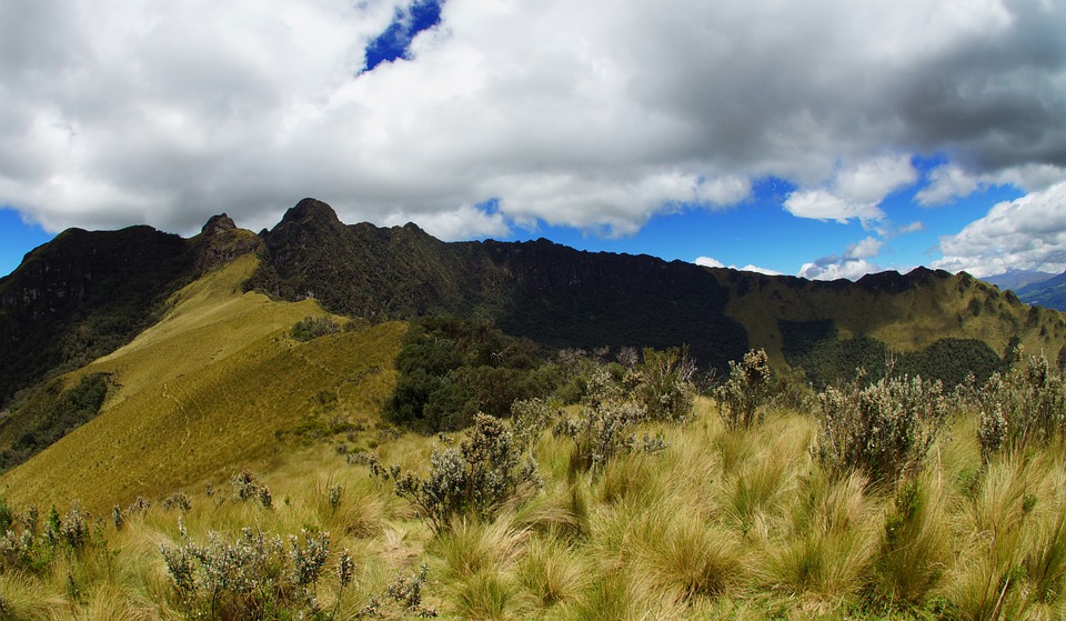 ChamdaNature-America-Pasochoa-South-Latin-Andes-Ecuador-7657551.jpg